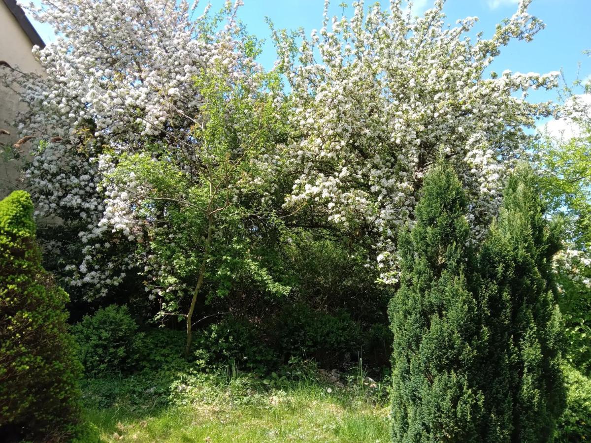Vakantie Boerderij De Boerenzwaluw Karl Екстериор снимка
