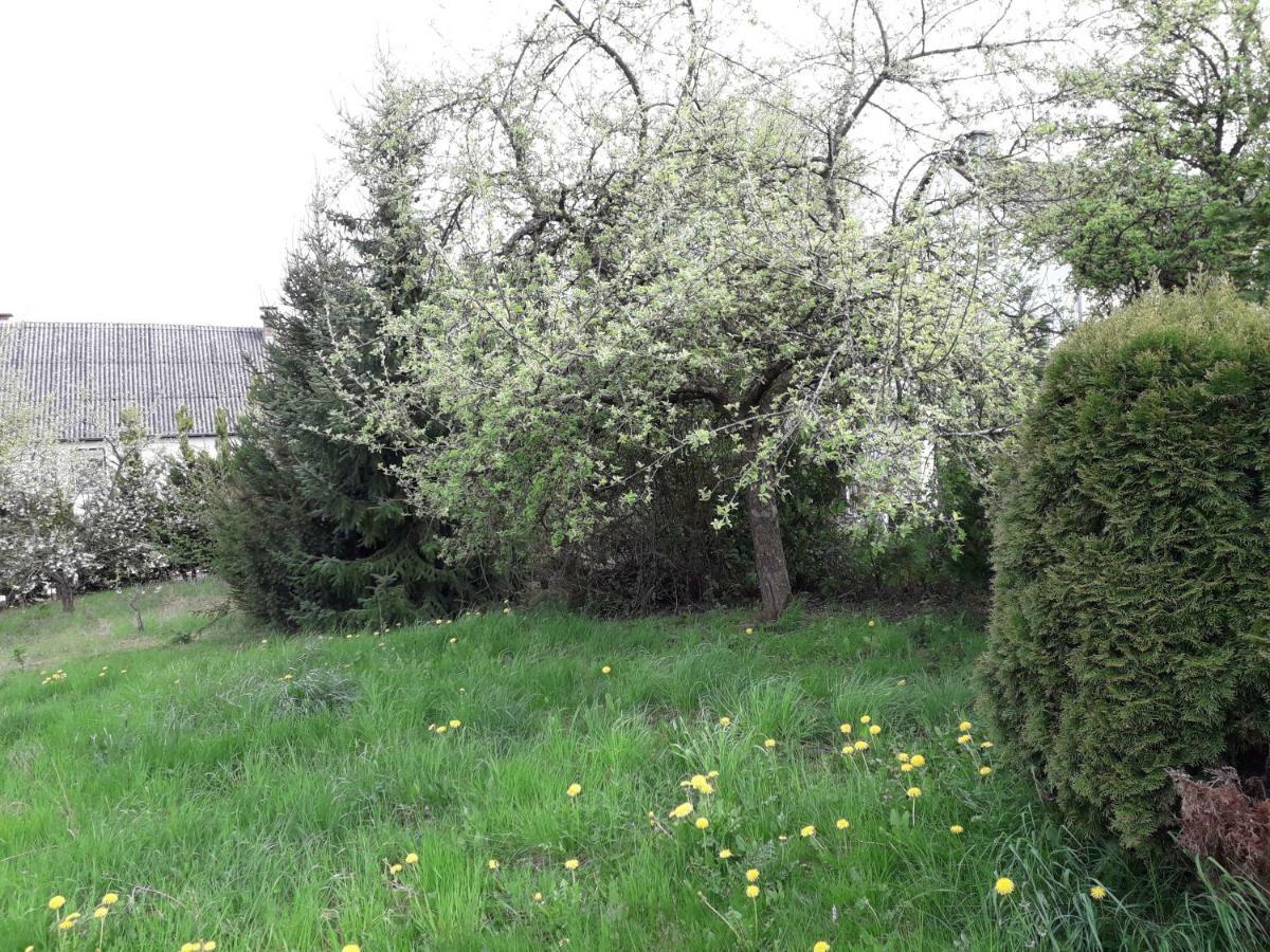 Vakantie Boerderij De Boerenzwaluw Karl Екстериор снимка